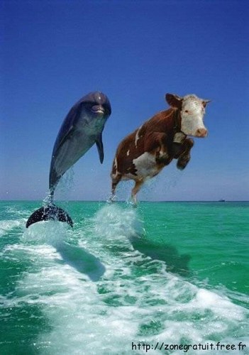 humour